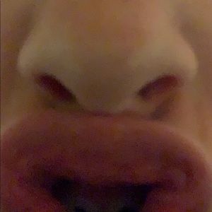 Meet your Posher, Austin